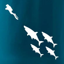 Potápač žraloky Potápač žraloky