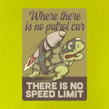 Korytnačka na cestách