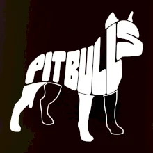 Pit Bull Teriér Pit Bull Teriér