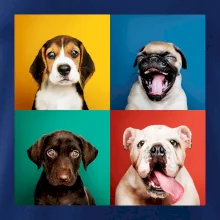 Psi šteňatá koláž