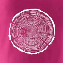 Letokruhy 100 bez veku Letokruhy 100 bez veku