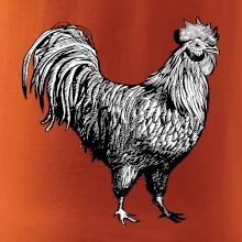 Kohút kreslený čiernobiely