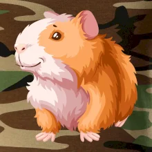 Morča - kreslené, bielo oranžové