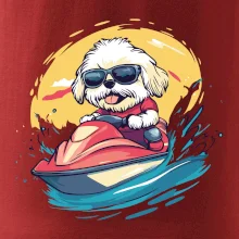 Lhasa Apso na vodnom skútri