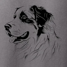 Bernský salašnícky pes čierna kresba