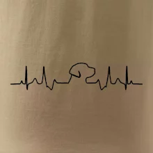 Labradorský retriever EKG Labradorský retriever EKG