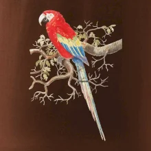 Papagáj  na listnatom strome