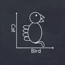 Cat bird diagram