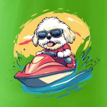 Lhasa Apso na vodnom skútri