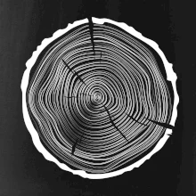 Letokruhy 50 bez veku