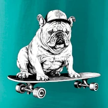 Čiernobiely buldog na skateboarde