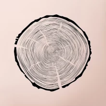 Letokruhy 95 bez veku