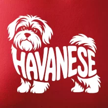 Havanese nápis v tele