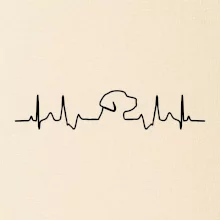 Labradorský retriever‎ EKG