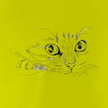 Mačka tvár kresba Mačka tvár kresba