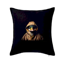 Kachna v pláštěnce