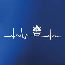 EKG fíkus EKG fíkus