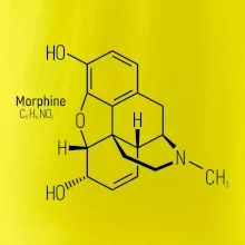 Molekulárna štruktúra Morfín