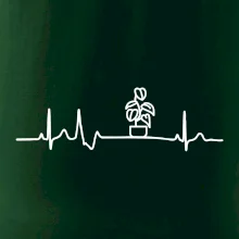 EKG Filodendron EKG Filodendron