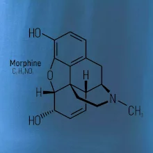 Molekulárna štruktúra Morfín