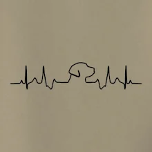 Labradorský retriever‎ EKG