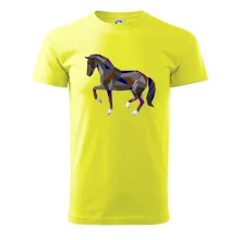 Kôň geometria farebný