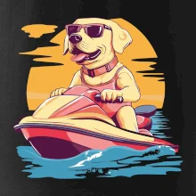 Zlatý retriever na vodnom skútri