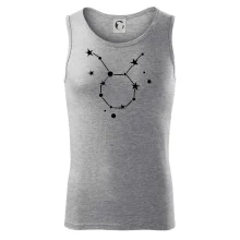 Súhvezdie - Taurus - Býk Súhvezdie - Taurus - Býk