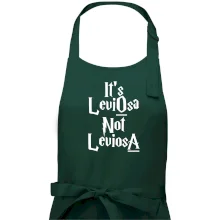 Leviosa not Levjosa Leviosa not Levjosa