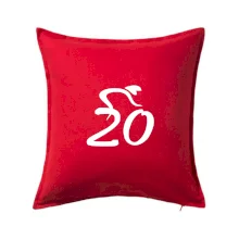 Cyklista oslavuje dvadsiatku (20)