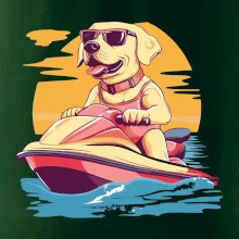 Zlatý retriever na vodnom skútri