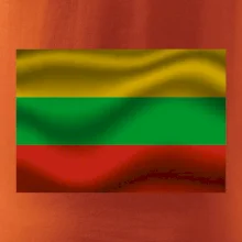 Litva vlajka obdĺžnik