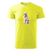 Zlatý retriever vintage