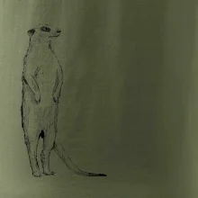 Surikata čierna kresba