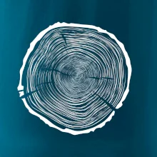 Letokruhy 75 bez veku