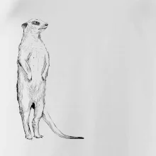 Surikata čierna kresba