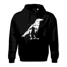 The Crow nature The Crow nature