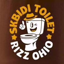 Skibidi toilet rizz ohio