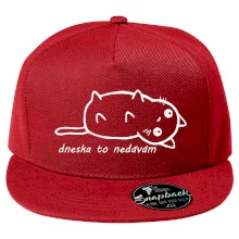 Dnes to nedávam Dnes to nedávam