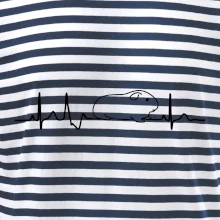 EKG morča EKG morča