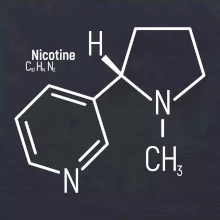 Molekulárna štruktúra Nikotín