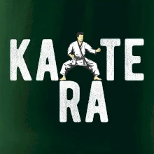 Karate bojovník