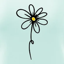 Kopretina - dole na výšku