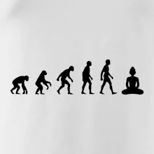 Evoluce budha