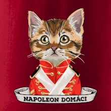 Napoleon domáci mačka