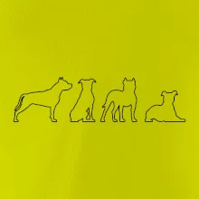 Americký stafordšírsky teriér v rôznych pozíciách