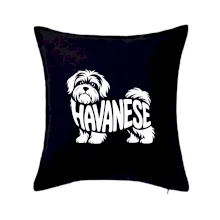 Havanese nápis v tele