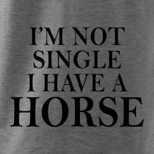 I have a horse
