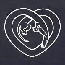 Jazvečík srdca - obrys