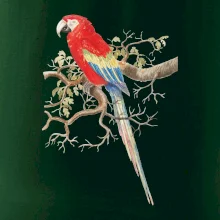 Papagáj  na listnatom strome